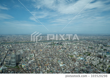 Sky tree landscape 103520298