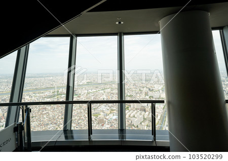 Sky tree landscape 103520299