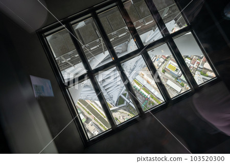 Sky tree landscape 103520300