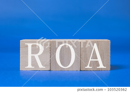 [Economy] ROA return on assets 103520362