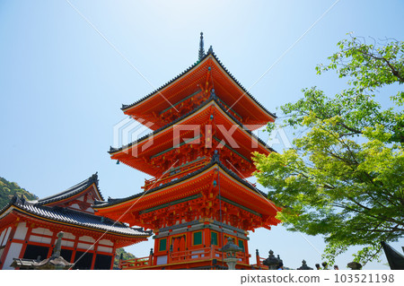 Three-storied pagoda of Kiyomizu-dera Temple and fresh green green maple leaves Three-storied pagoda of Kiyomizu-dera Temple and fresh green green maple leaves 103521198