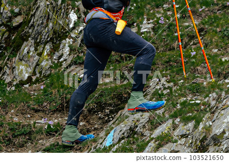 man athlete legs and trekking poles go uphill in trail skyrunning marathon, mountain difficult route race man athlete legs and trekking poles go uphill in trail skyrunning marathon, mountain difficult route race 103521650