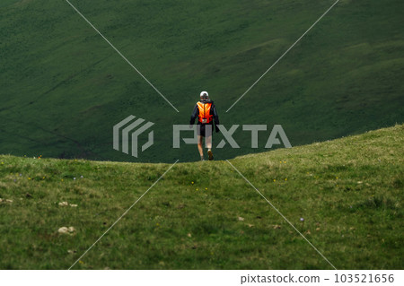 rear view male runner running green meadow mountain marathon race rear view male runner running green meadow mountain marathon race 103521656