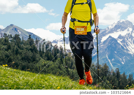 athlete runner running skyrunning marathon race in background snowy mountain, trekking poles in hands athlete runner running skyrunning marathon race in background snowy mountain, trekking poles in hands 103521664