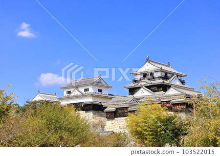 [愛媛縣]松山城（現存天守閣12座） 103522015