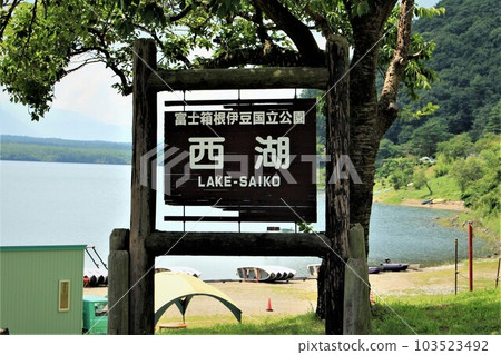 西湖 西湖 103523492