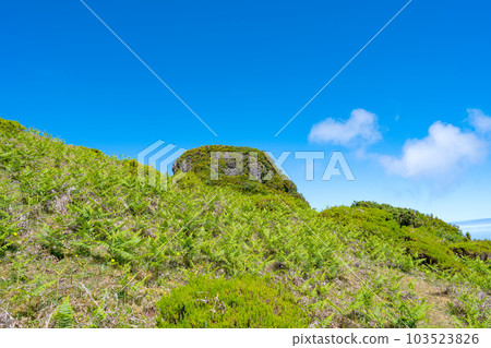 beautiful landscape in Madeira island 103523826