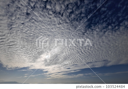 Afternoon sky covered with cirrocumulus clouds/early summer/super wide angle/sky mainly/230531pm Afternoon sky covered with cirrocumulus clouds/early summer/super wide angle/sky mainly/230531pm 103524484
