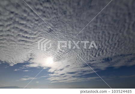 Afternoon sky covered with cirrocumulus clouds/early summer/super wide angle/sky mainly/230531pm Afternoon sky covered with cirrocumulus clouds/early summer/super wide angle/sky mainly/230531pm 103524485
