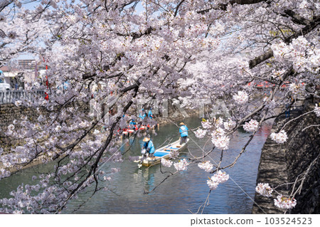 岐阜縣大垣市櫻花與遊船（水之都大垣遊船） 103524523