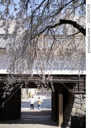 大垣城門和垂枝櫻花（岐阜縣大垣市） 103524526