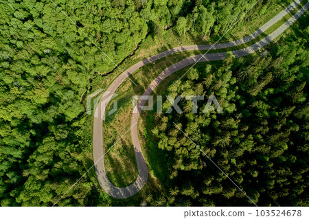 Sharp turn on forest track, roller ski track in wilderness Sharp turn on forest track, roller ski track in wilderness 103524678