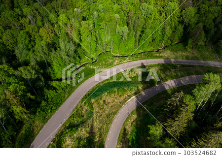 Aerial view of a roller ski trail winding through a forest landscape Aerial view of a roller ski trail winding through a forest landscape 103524682