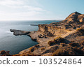 Panoramic view of Punta Piramides in Valdes Peninsula. Argentine Patagonia. 103524864