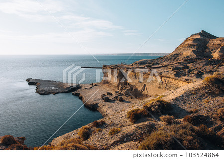 Panoramic view of Punta Piramides in Valdes Peninsula. Argentine Patagonia. 103524864