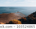 Panoramic view of Punta Piramides in Valdes Peninsula. Argentine Patagonia. 103524865