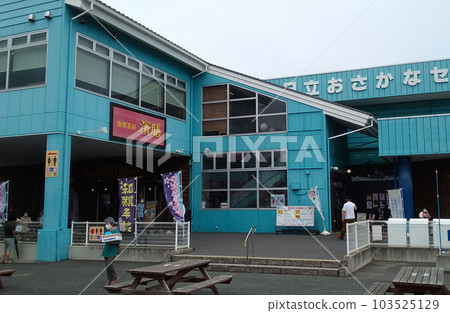 茨城縣日立市港町道之站日立魚中心 103525129