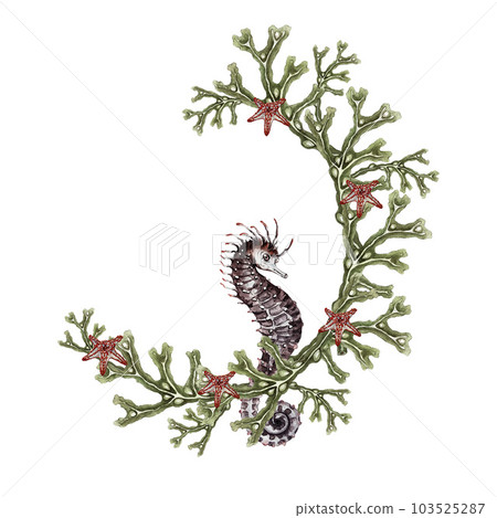 Fucus seaweed wreath. Seahorse. Watercolor illustration. High quality 103525287