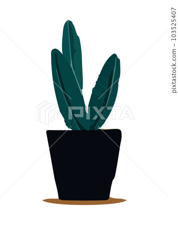 Plant in pot vector illustration. Cartoon flat different indoor potted decorative houseplant for interior home or office decoration, green garden floral icon isolated on white. Plant in pot vector illustration. Cartoon flat different indoor potted decorative houseplant for interior home or office decoration, green garden floral icon isolated on white. 103525407