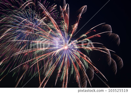 夏天的大活動：裝飾夜空的煙花（戶田橋煙花節） 103525519