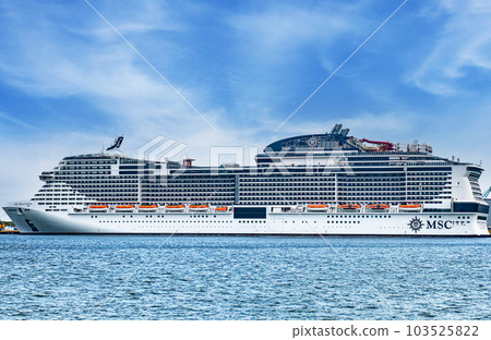 cruise ship docked 103525822