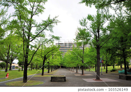 熊本縣政府 熊本縣政府 103526149