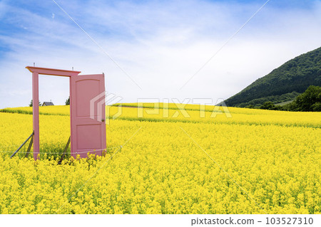 有小山和油菜花田的公園 初夏的粉紅門藥井 宮城縣上町 103527310