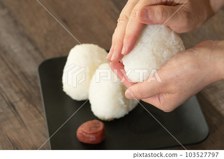 飯糰 飯糰 103527797