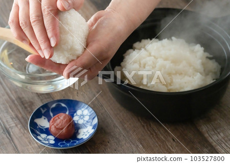 Rice ball Rice ball 103527800