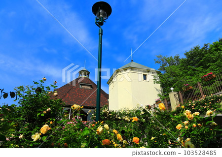 [Hyogo Prefecture] Kobe Nunobiki Herb Garden in fine weather 103528485