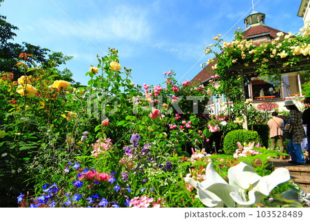 [Hyogo Prefecture] Kobe Nunobiki Herb Garden in fine weather 103528489