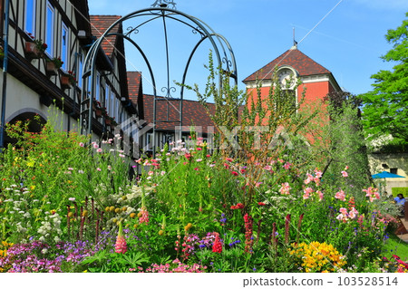 [兵庫縣]天氣晴朗的神戶布引香草園（歡迎花園） 103528514