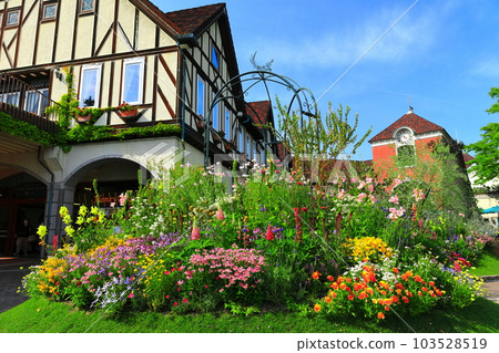 [Hyogo Prefecture] Kobe Nunobiki Herb Garden (Welcome Garden) in fine weather 103528519