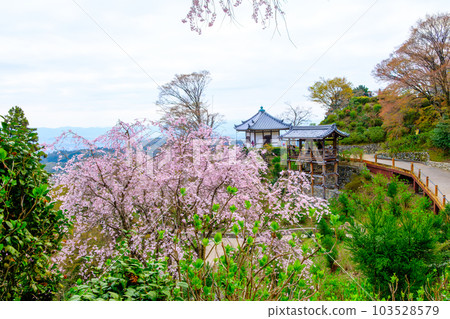 Hakusan Cherry Blossom Hydrangea Garden at Nishiyama Yoshimine-ji Temple, Kyoto 103528579