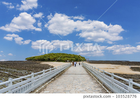 [宮崎縣]日南海岸的Oni洗衣板 103528776