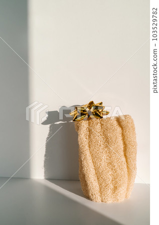 Loofah natural sponge on the white background. Loofah natural sponge on the white background. 103529782