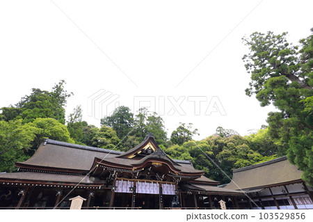 Main hall of Miwa Shrine 103529856
