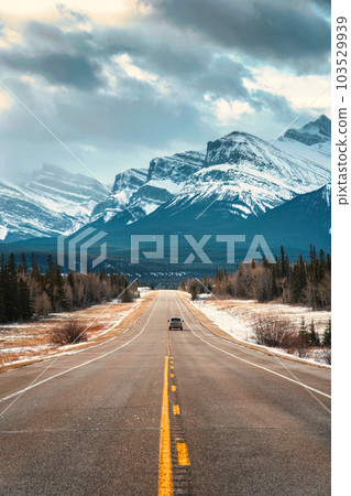 Road trip on highway between pine forest driving straight to rocky mountains in Icefields Parkway 103529939