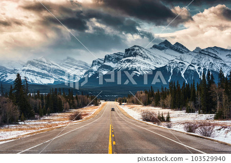 Road trip on highway between pine forest driving straight to rocky mountains in Icefields Parkway 103529940