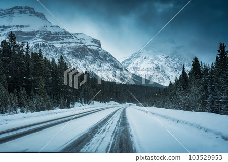 Scenic road trip with snowy pine forest and rocky mountains in gloomy day Scenic road trip with snowy pine forest and rocky mountains in gloomy day 103529953