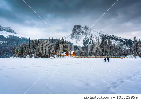 Emerald Lake with wooden lodge glowing in snowy pine forest and rocky mountains on winter at Yoho national park 103529959