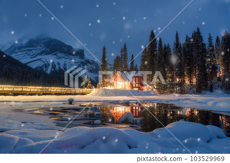 Emerald Lake with wooden lodge glowing and snowfall in pine forest on winter at Yoho national park 103529969