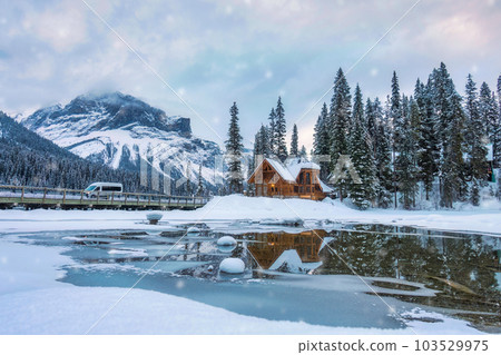 Emerald Lake with wooden lodge glowing and snowfall in pine forest on winter at Yoho national park 103529975