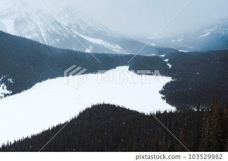 Scenery of Peyto Lake with snow covered in the valley on snowing day at Banff national park Scenery of Peyto Lake with snow covered in the valley on snowing day at Banff national park 103529982