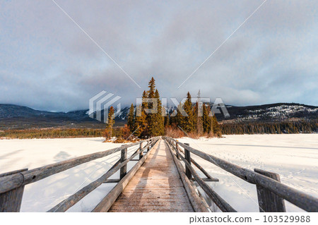 Snowy wooden bridge and tiny pine forest at Pyramid Lake on winter in Jasper national park 103529988