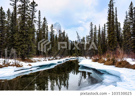 Snowy pine forest and frozen lake in national park on wintertime Snowy pine forest and frozen lake in national park on wintertime 103530025