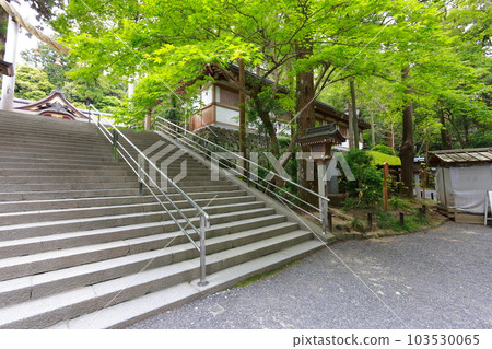 Miwa Shrine approach 103530065