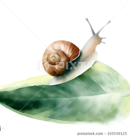 snail season 103530125