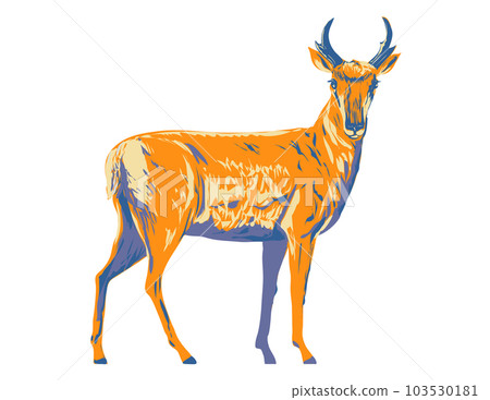 Pronghorn or American Antelope Side View WPA Poster Art 103530181