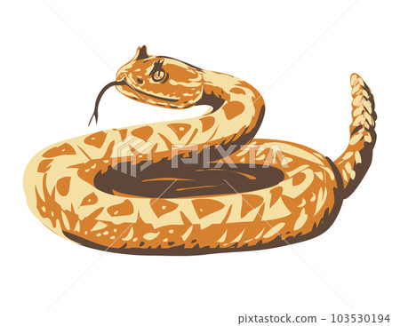 Western Diamondback Rattlesnake iCurled Up WPA Poster Art 103530194